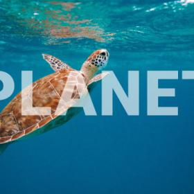 global carbon neutrality