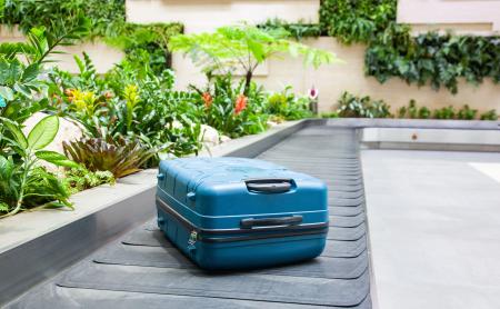 Suitcase on an airport treadmill with a background full of plants 